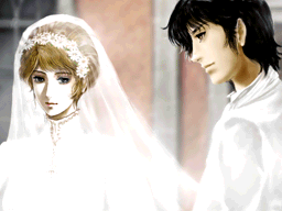 阿姆斯特丹：归乡、告白与婚礼